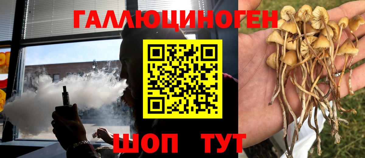 хочу   Псилоцибиновые грибы GOLDEN TEACHER  Вход с VPN  Ишимбай  Псилоцибиновые грибы мухоморы 